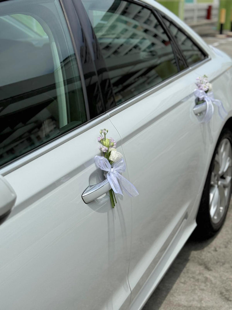 Contemporary Wedding Car - Romance