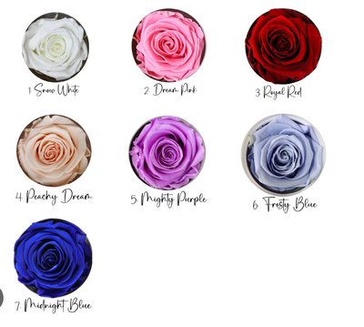 Timeless Preserved Roses Bouquet - Round