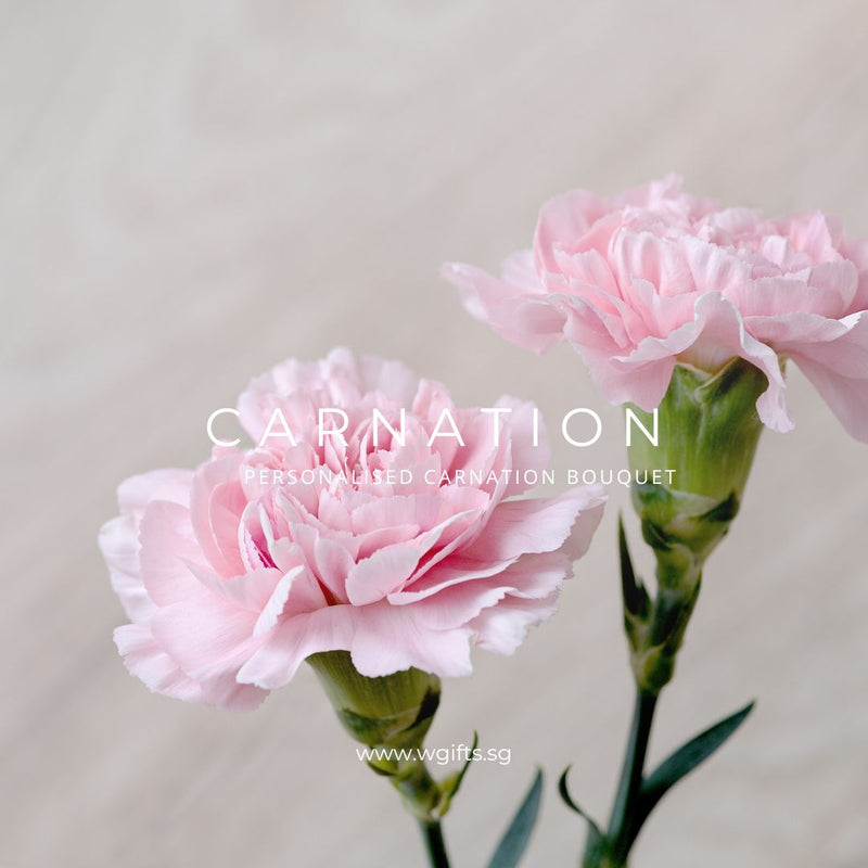 Personalised/Omakase Carnation Bouquet