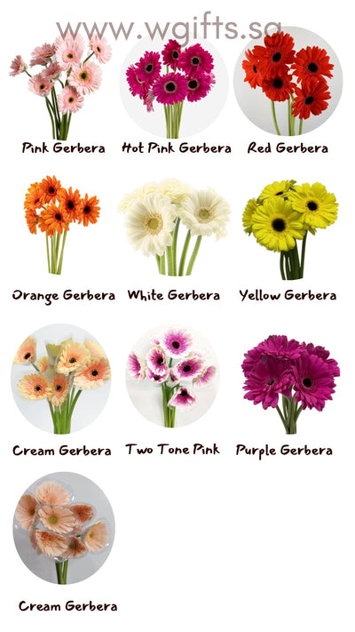 Personalised/Omakase Gerbera Bouquet