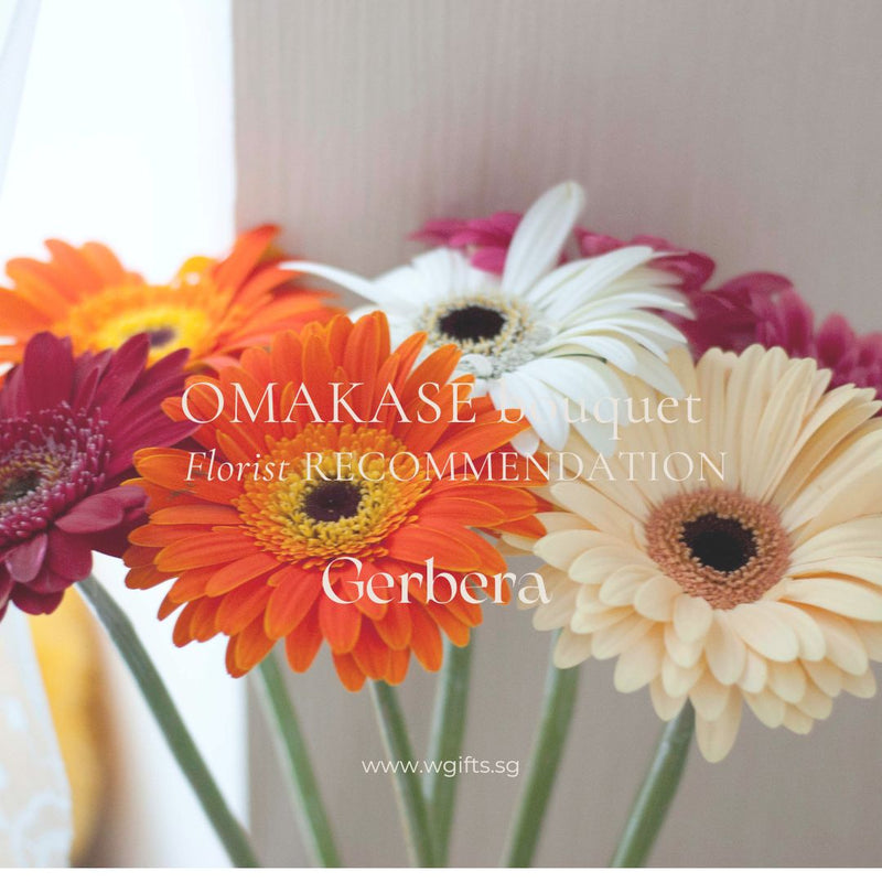 Personalised/Omakase Gerbera Bouquet