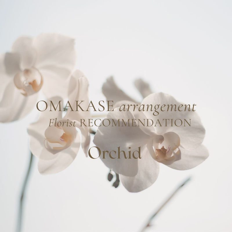 Personalised/Omakase Orchid Arr