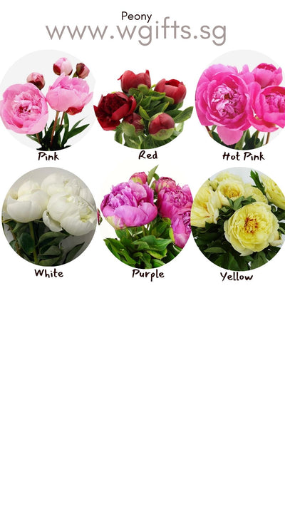 Classic Peony Flower Bouquet