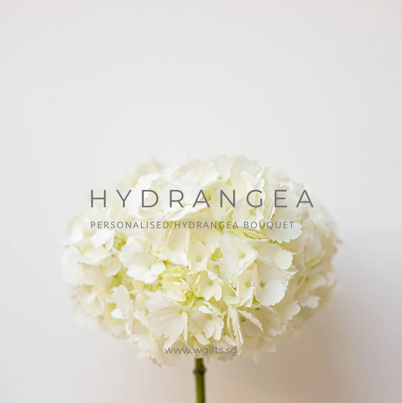 Personalised /Omakase Hydrangea Bouquet